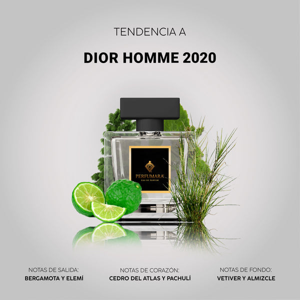 Tendencia a CDior Homme 2020