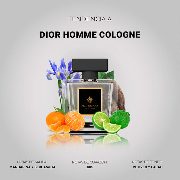 Tendencia  a CDior Homme Cologne