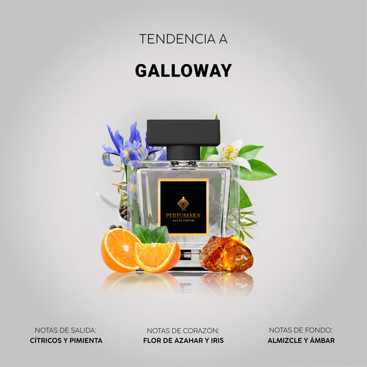 Tendencia a UGalloway