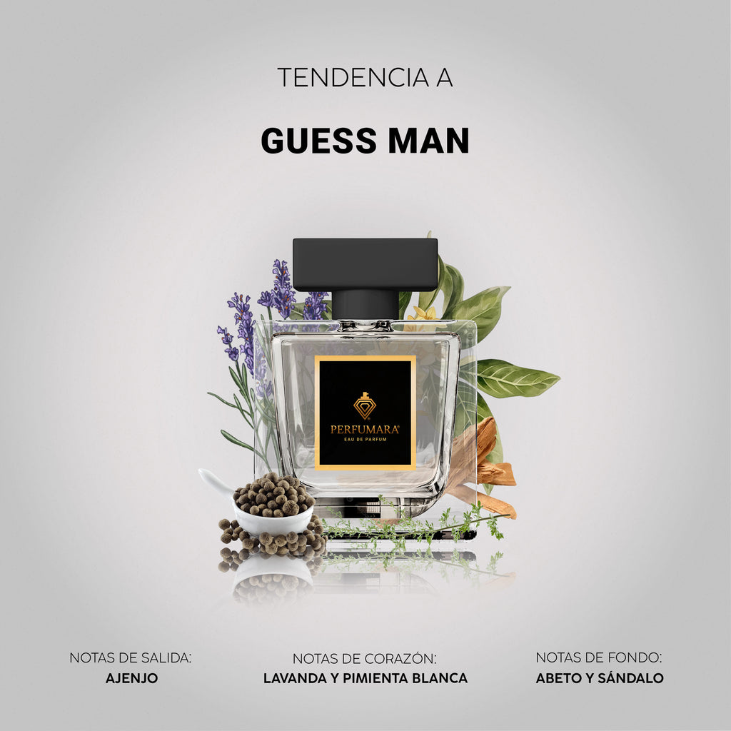 Tendencia a CGuess Man