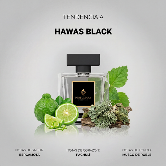 Tendencia  a CHawas Black
