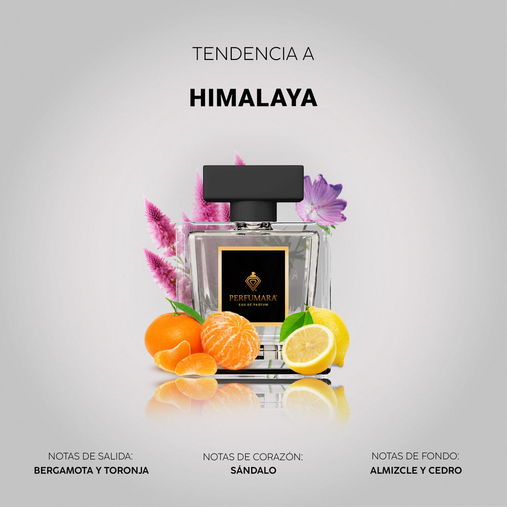 Tendencia a Himalaya
