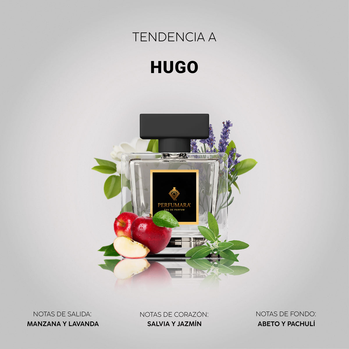 Tendencia a Hugo
