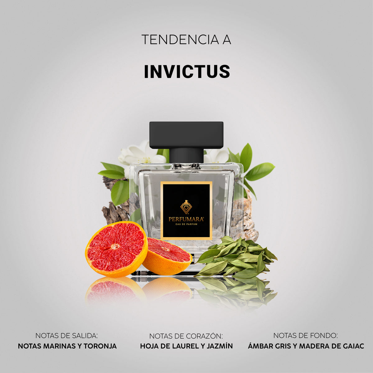 Tendencia a Invictus