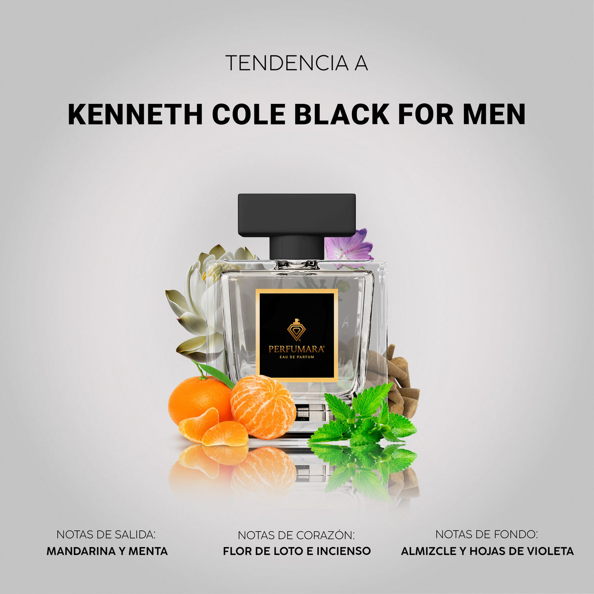 Tendencia a Kenneth Cole Black For Men
