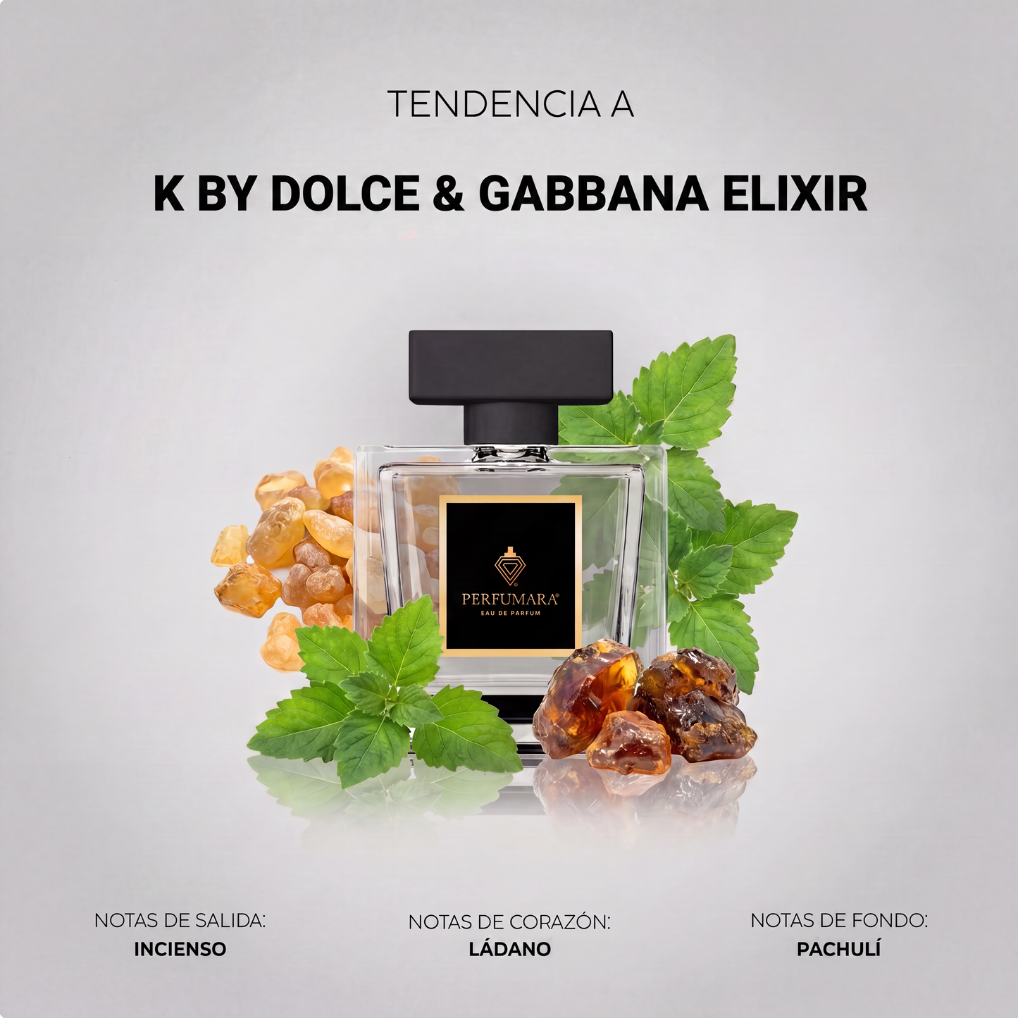 Tendencia a CK By Dolce & Gabbana Elixir