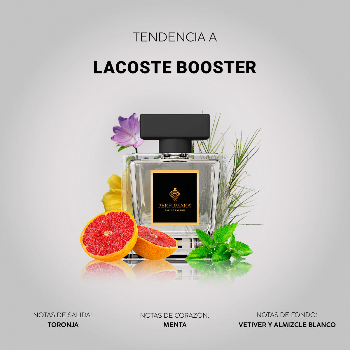 Tendencia a Lacoste Booster