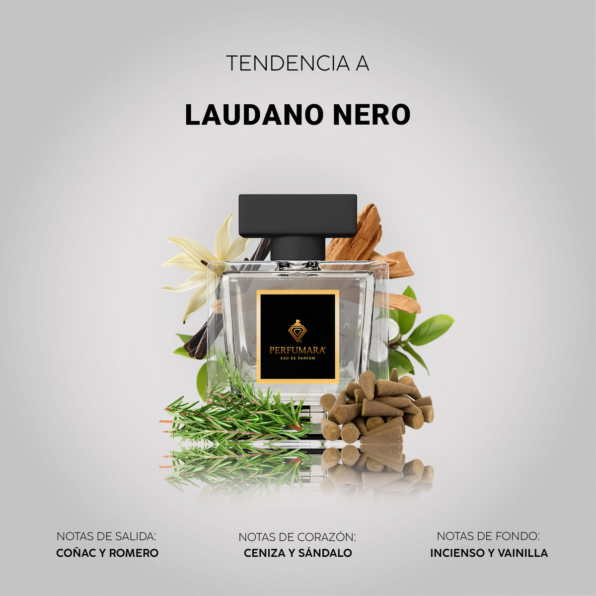 Tendencia a Ombré Leather Parfum