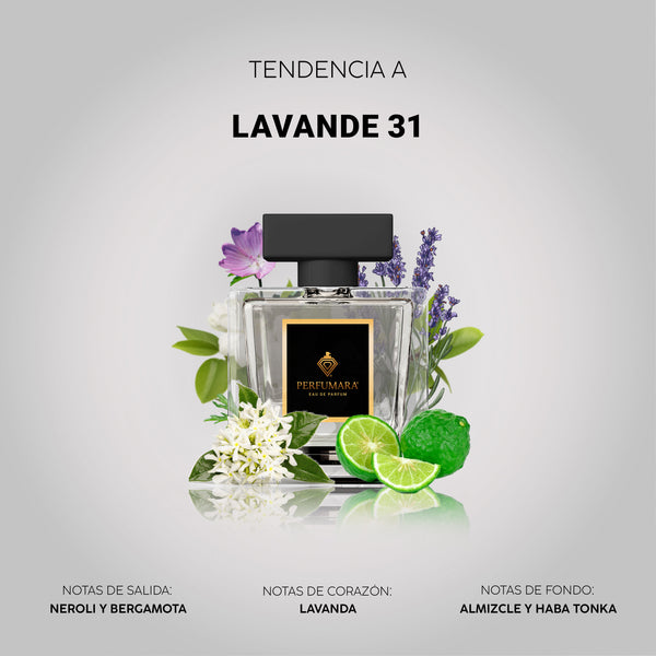 Tendencia a ULavande 31