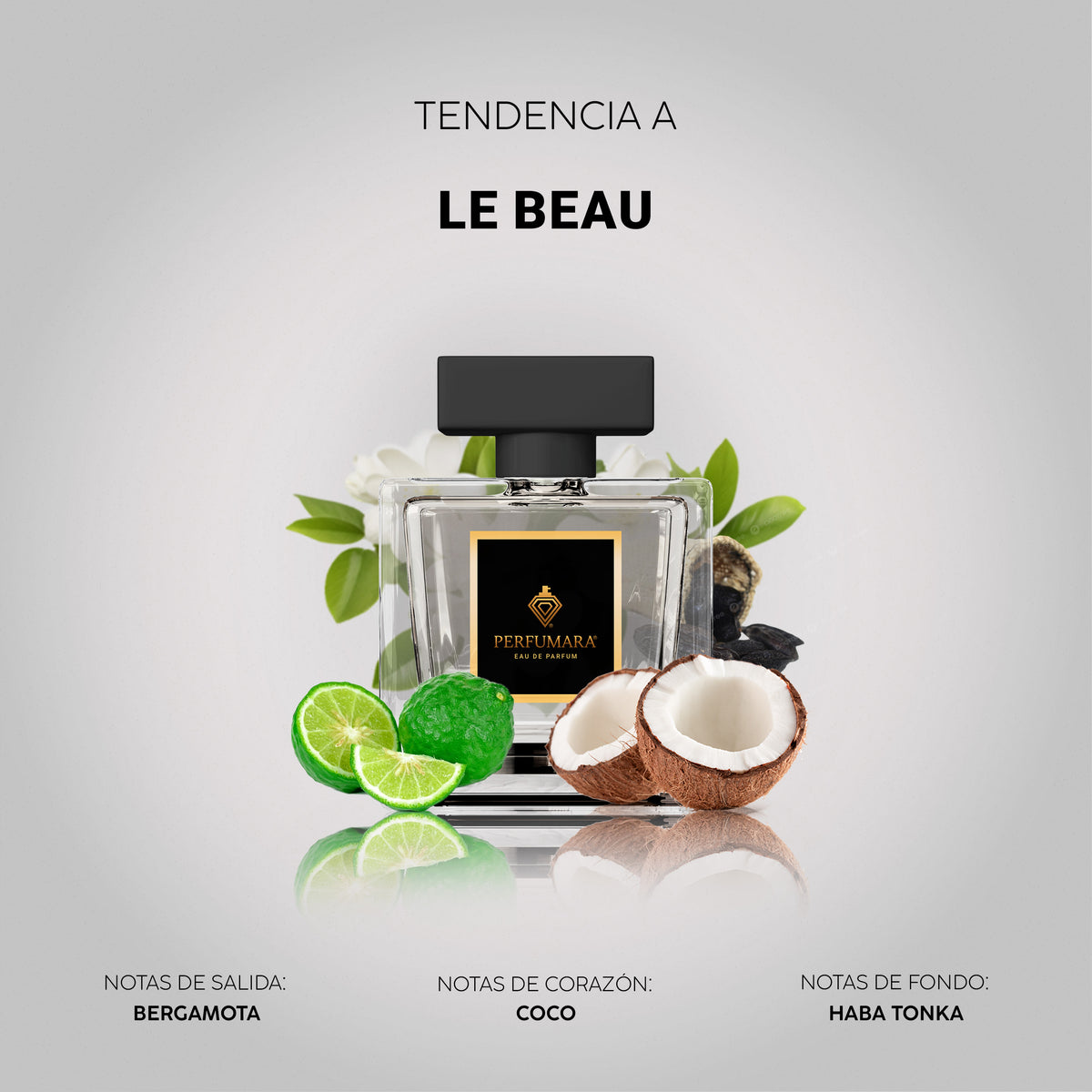 Tendencia a Le Beau