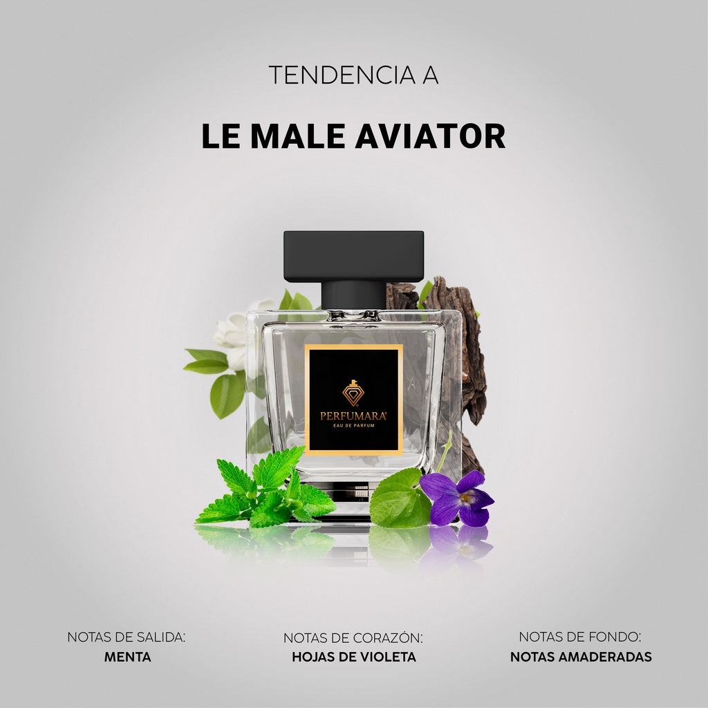 Tendencia a Le Male Aviator