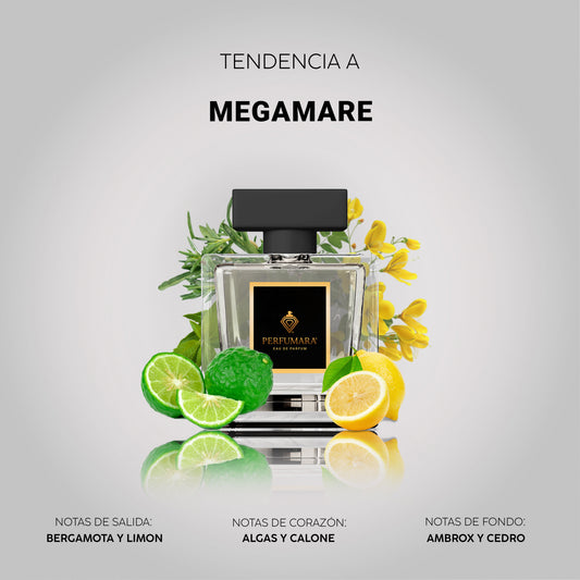 Tendencia  a UMegamare