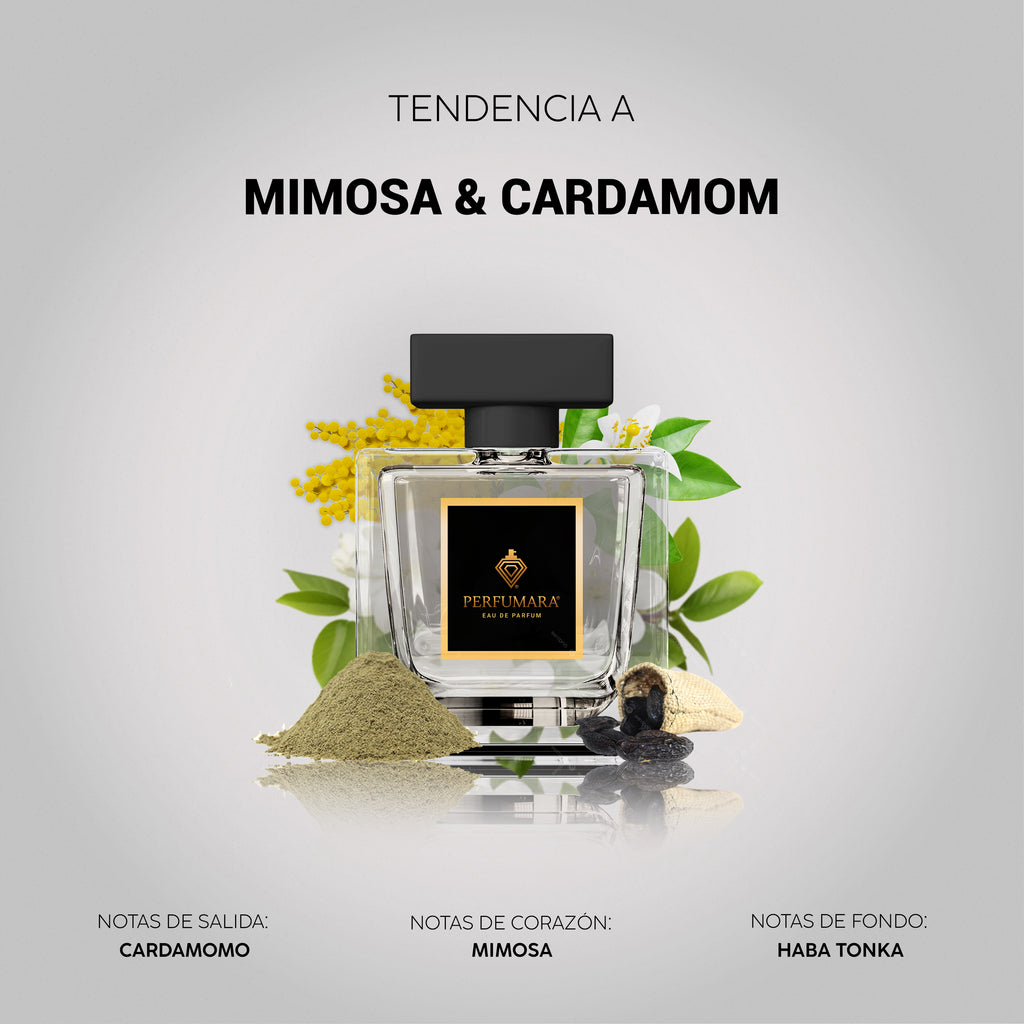 Tendencia a UMimosa & Cardamom