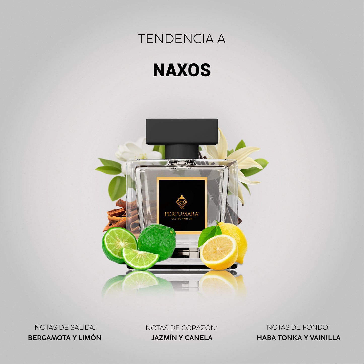 Tendencia a CNaxxos