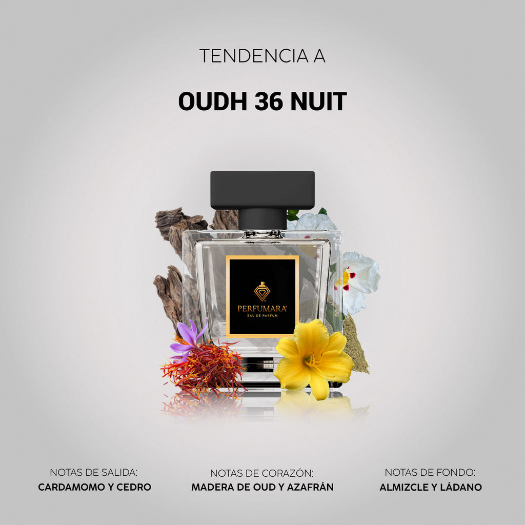 Tendencia  a COudh 36 Nuit