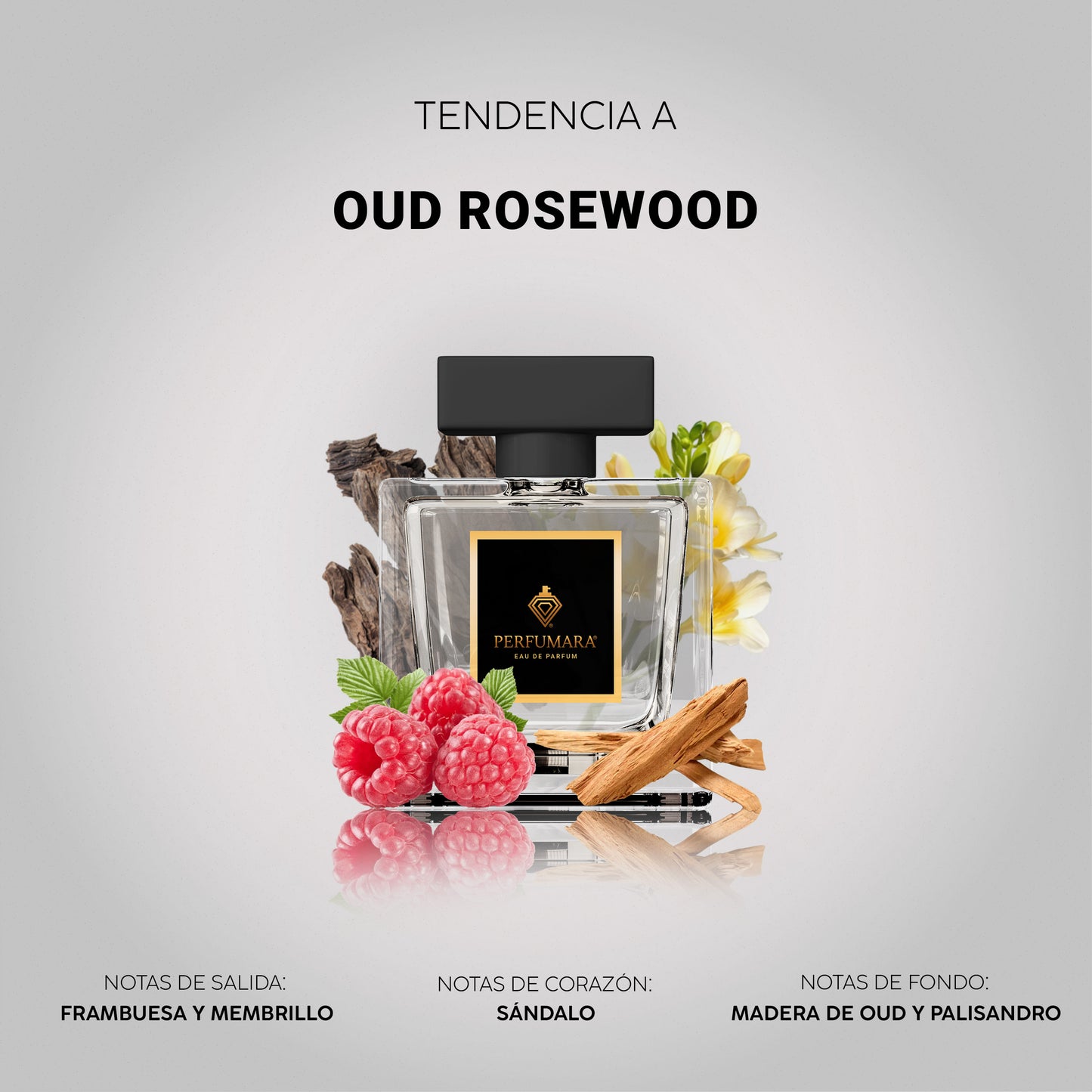 Tendencia a UOud Rosewood