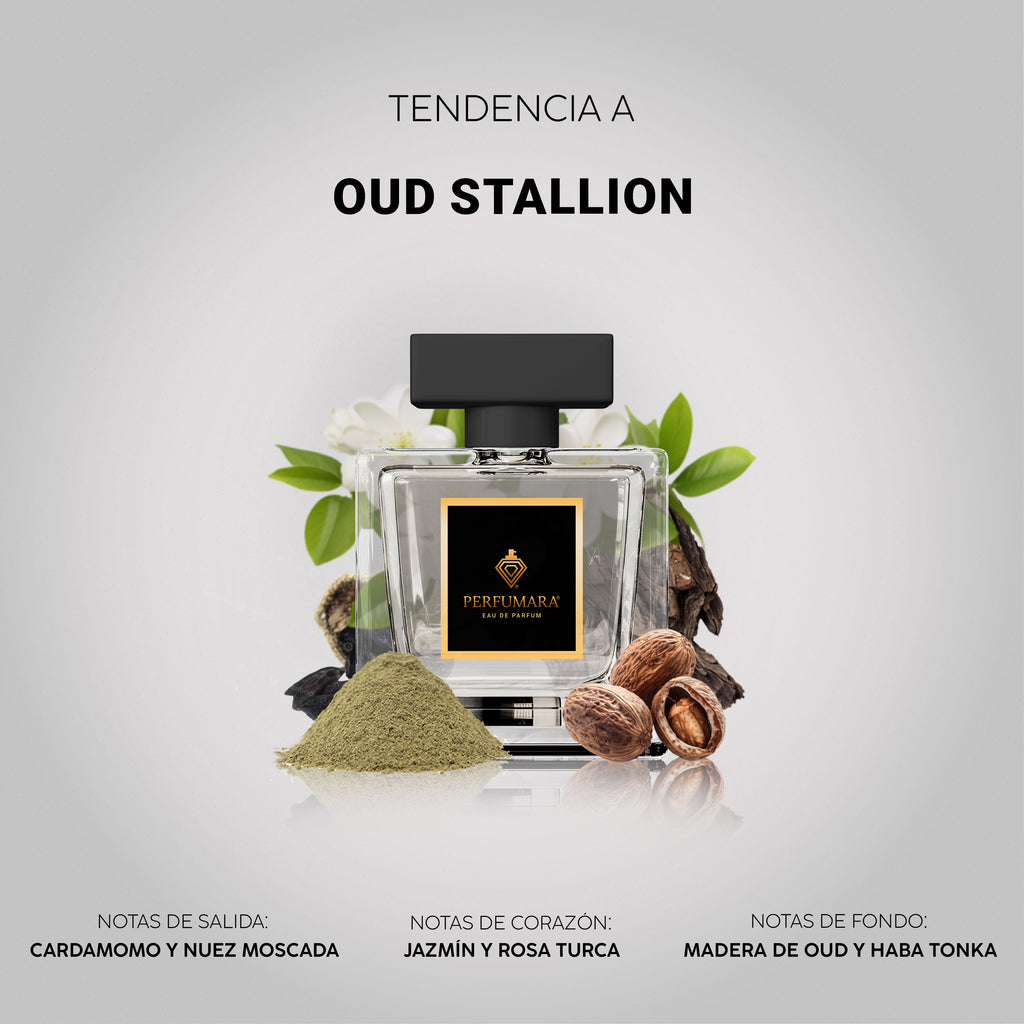 Tendencia a Oud Stallion