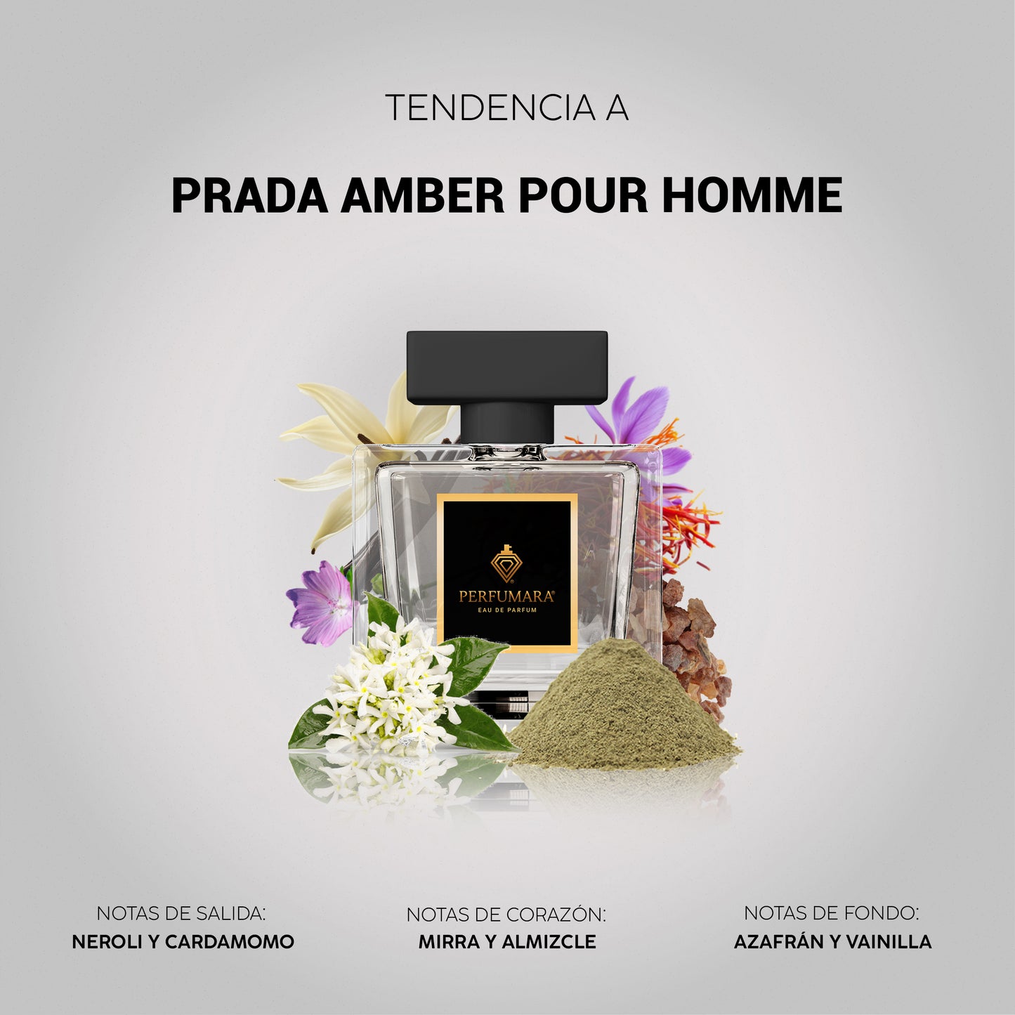 Tendencia a CPrada Amber Pour Homme