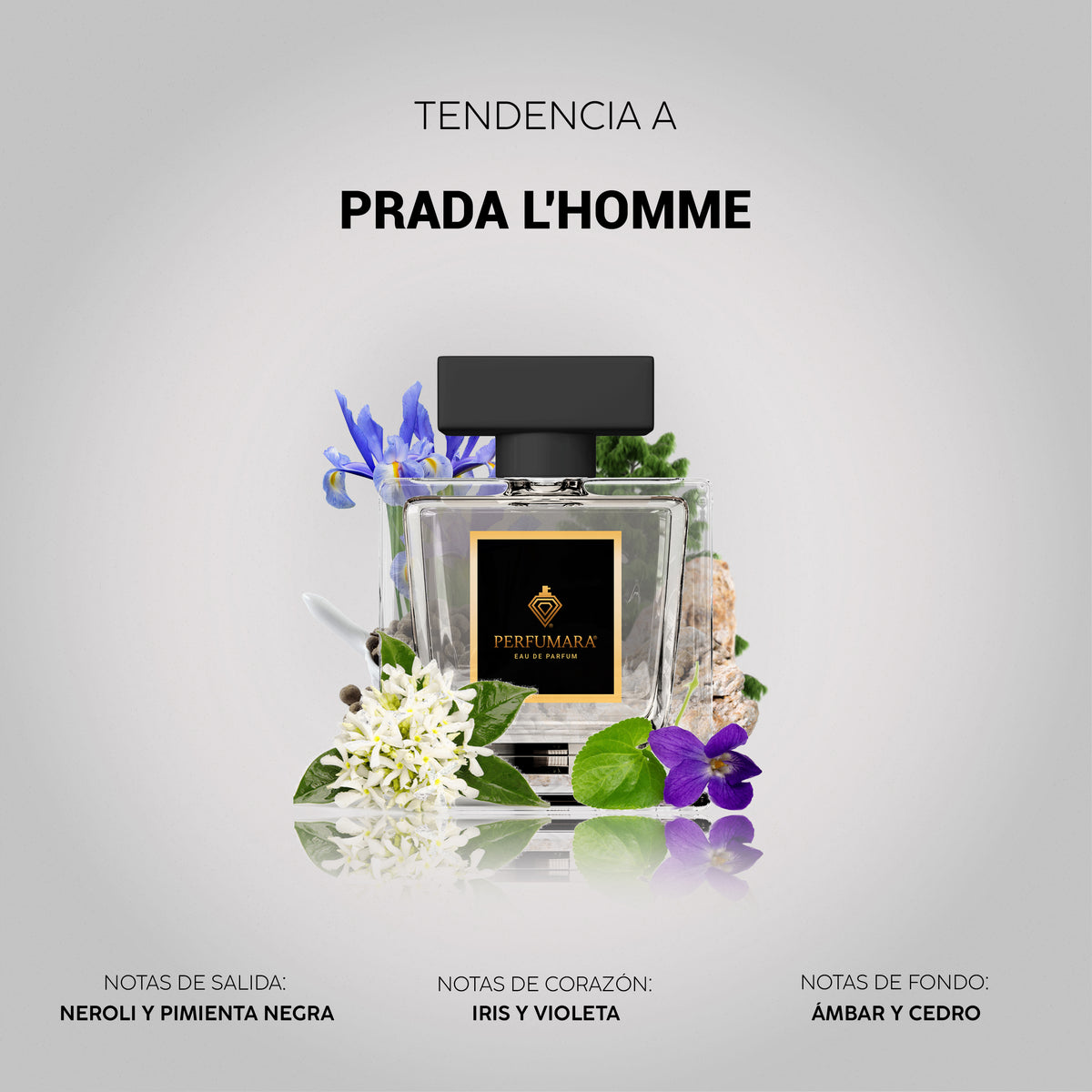 Tendencia a Prada L'Homme