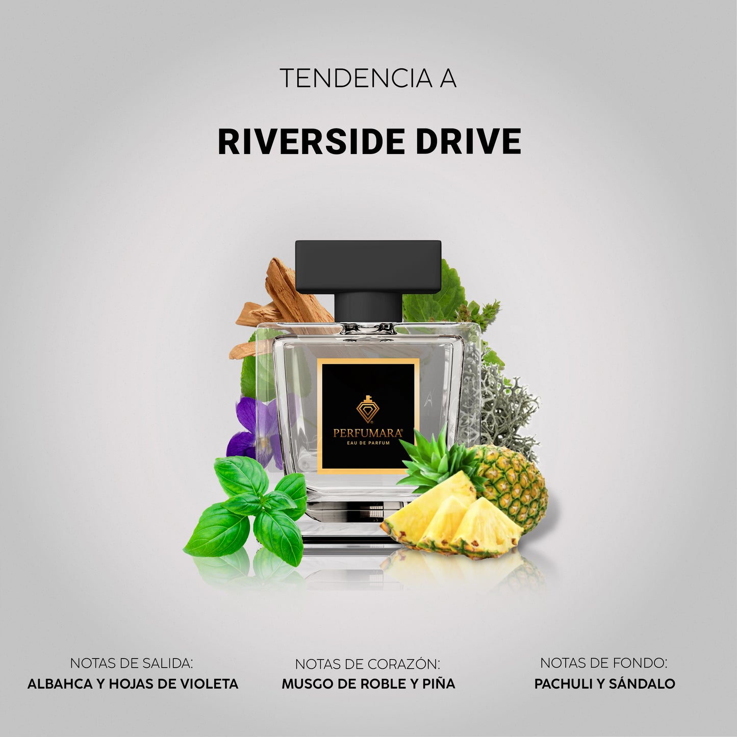 Tendencia a CRiverside Drive