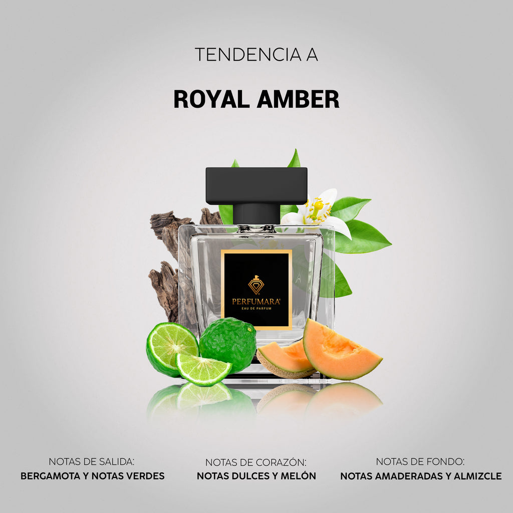 Tendencia  a URoyal Amber