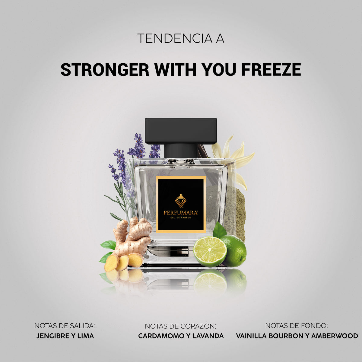 Tendencia a Stronger With You Freeze