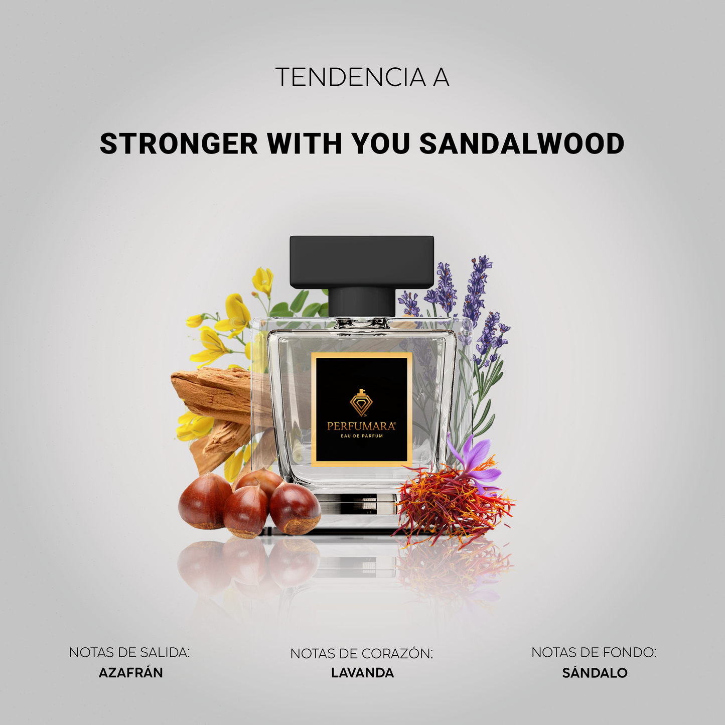 Tendencia a CStronger With You Sandalwood