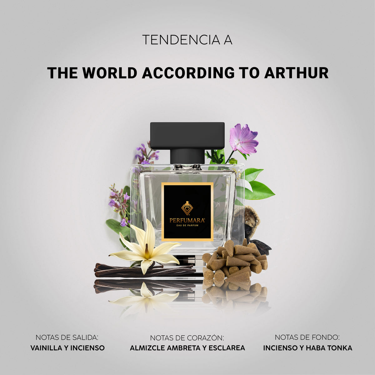 Tendencia a World According To Arthur