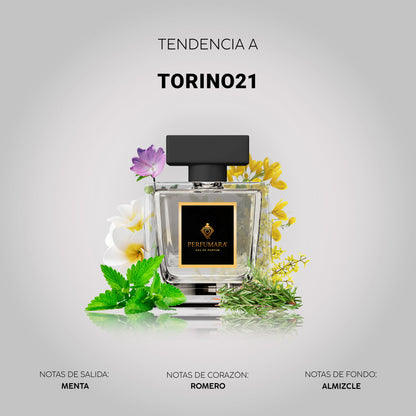 Tendencia a CTorino21