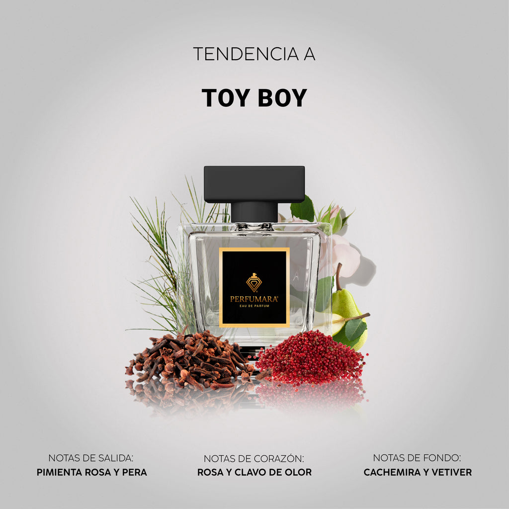 Tendencia a Toy Boy