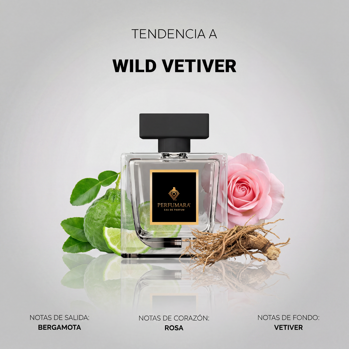 Tendencia a CWild Vetiver