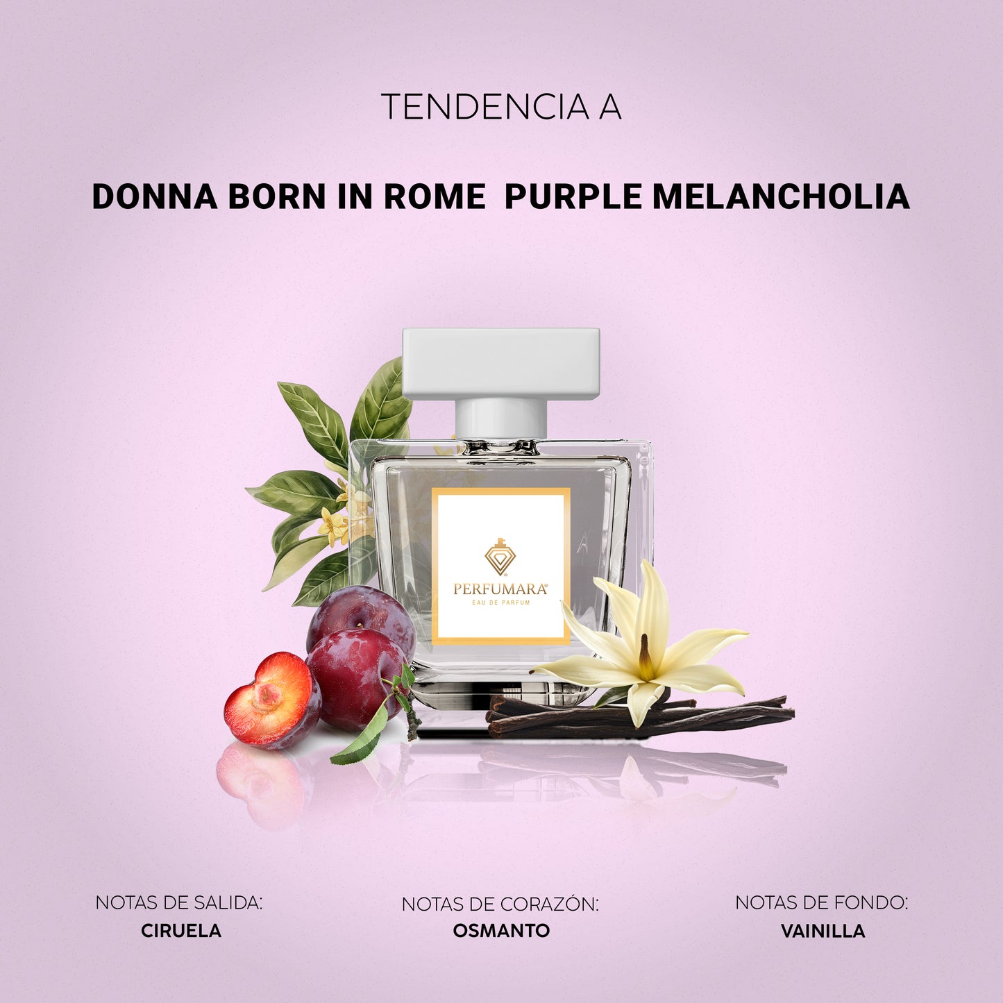 Tendencia a Born In Rome