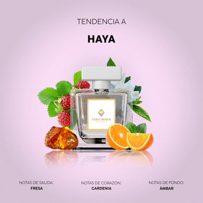 Tendencia a DHaya