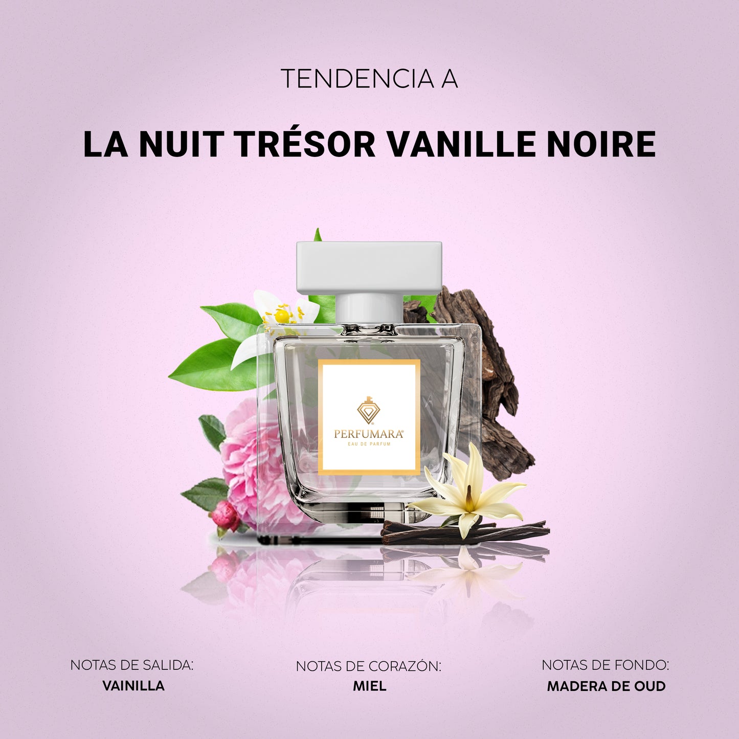 Tendencia a DLa Nuit Trésor Vanille Noire