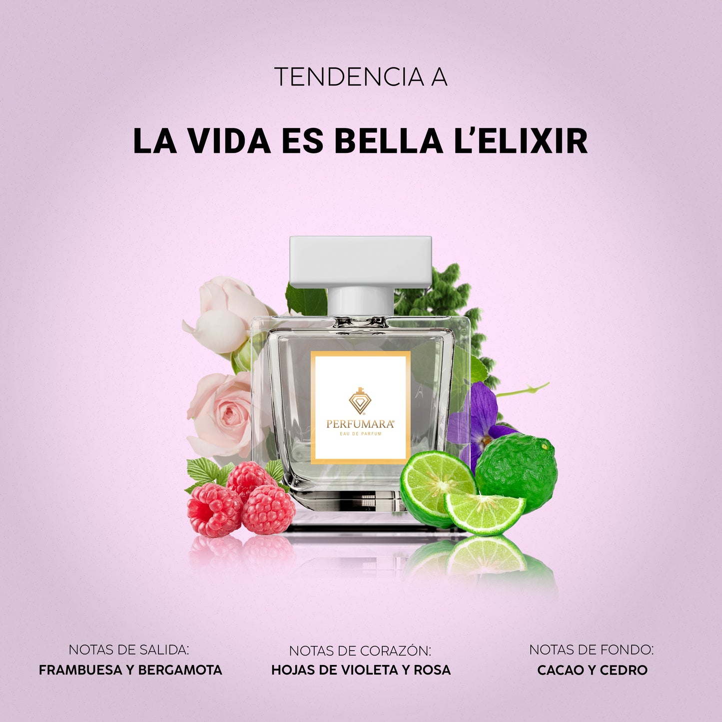 Tendencia a DLa Vie est Belle L'Elixir