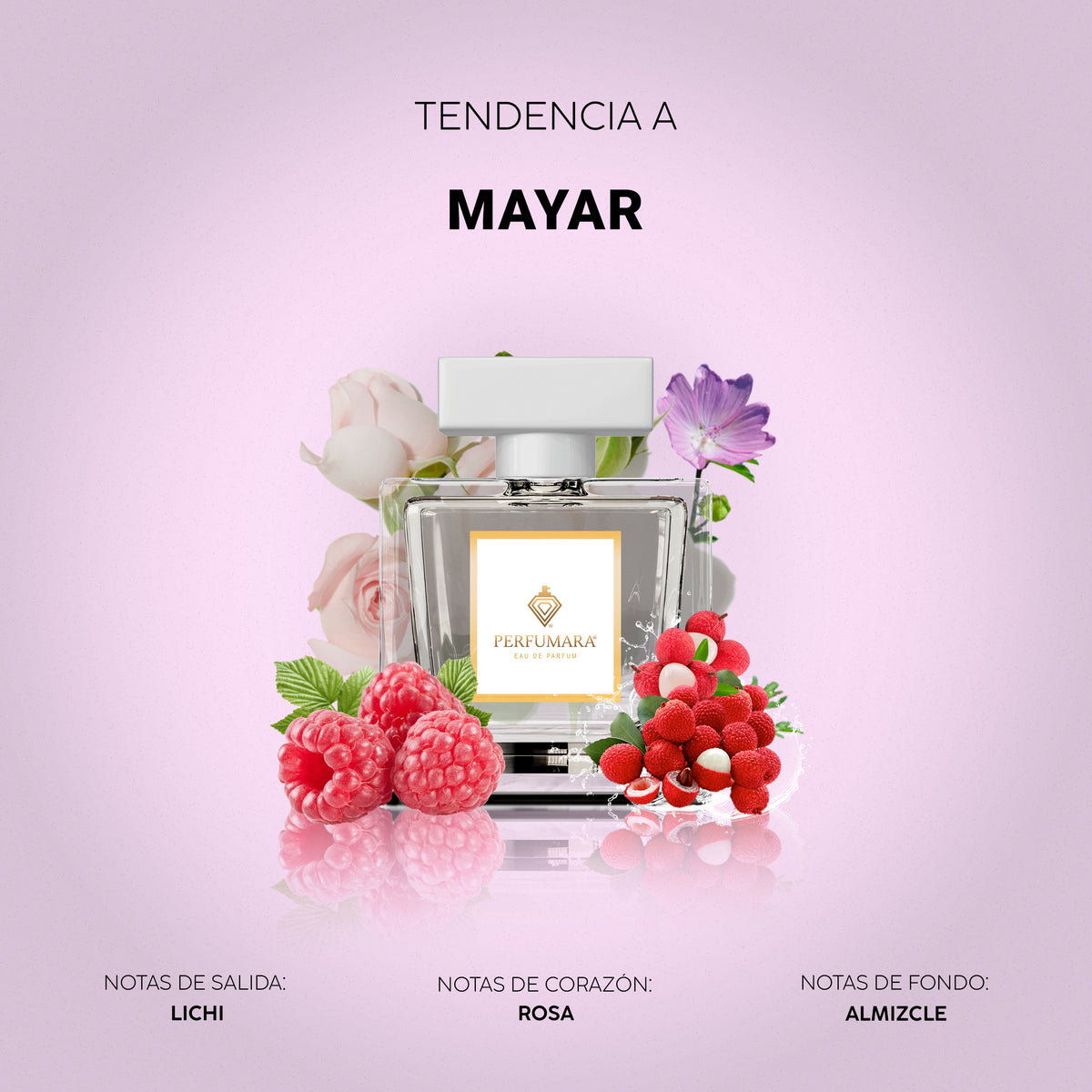 Tendencia a Mayar