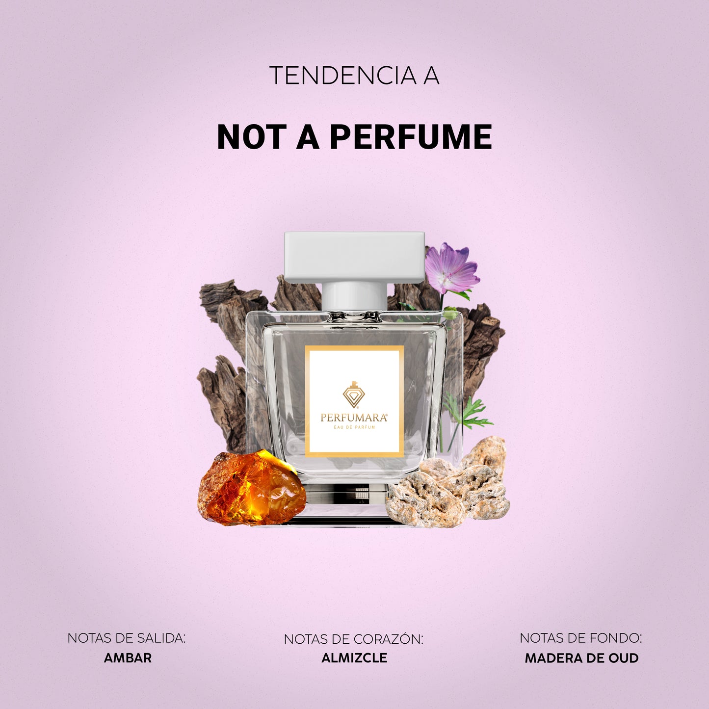 Tendencia  a DNot A Perfume