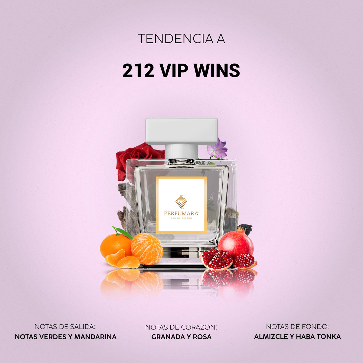 Tendencia a 212 VIP Wins Women