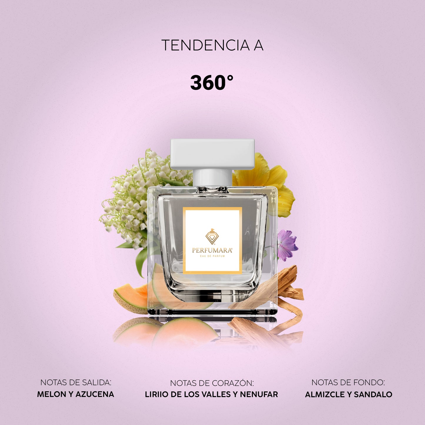 Tendencia a D360°