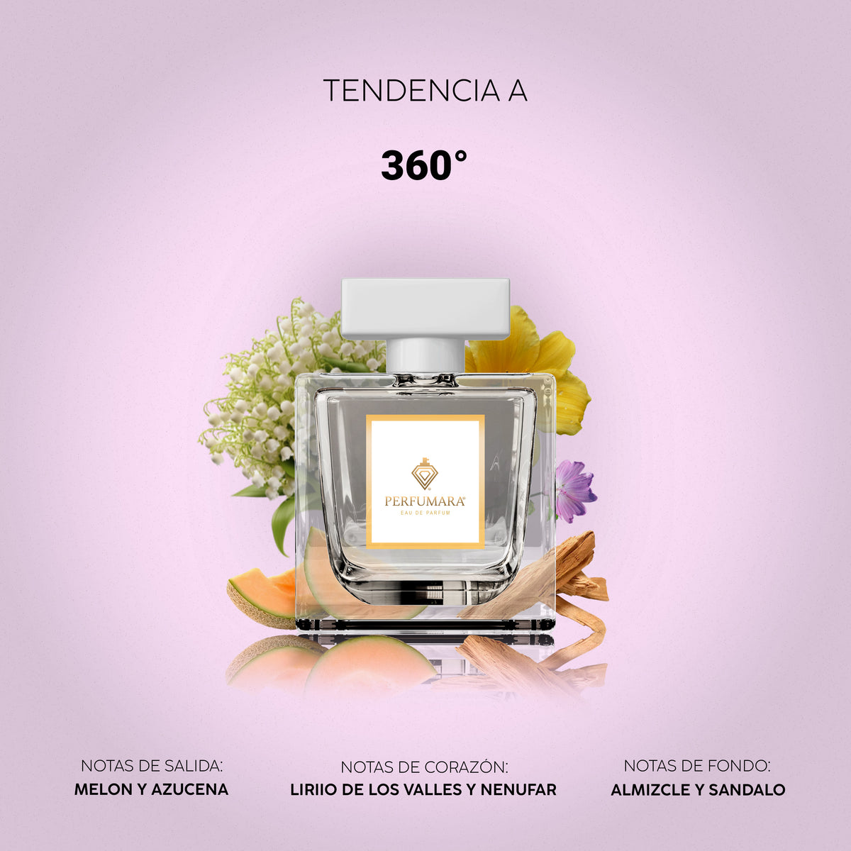 Tendencia a 360°