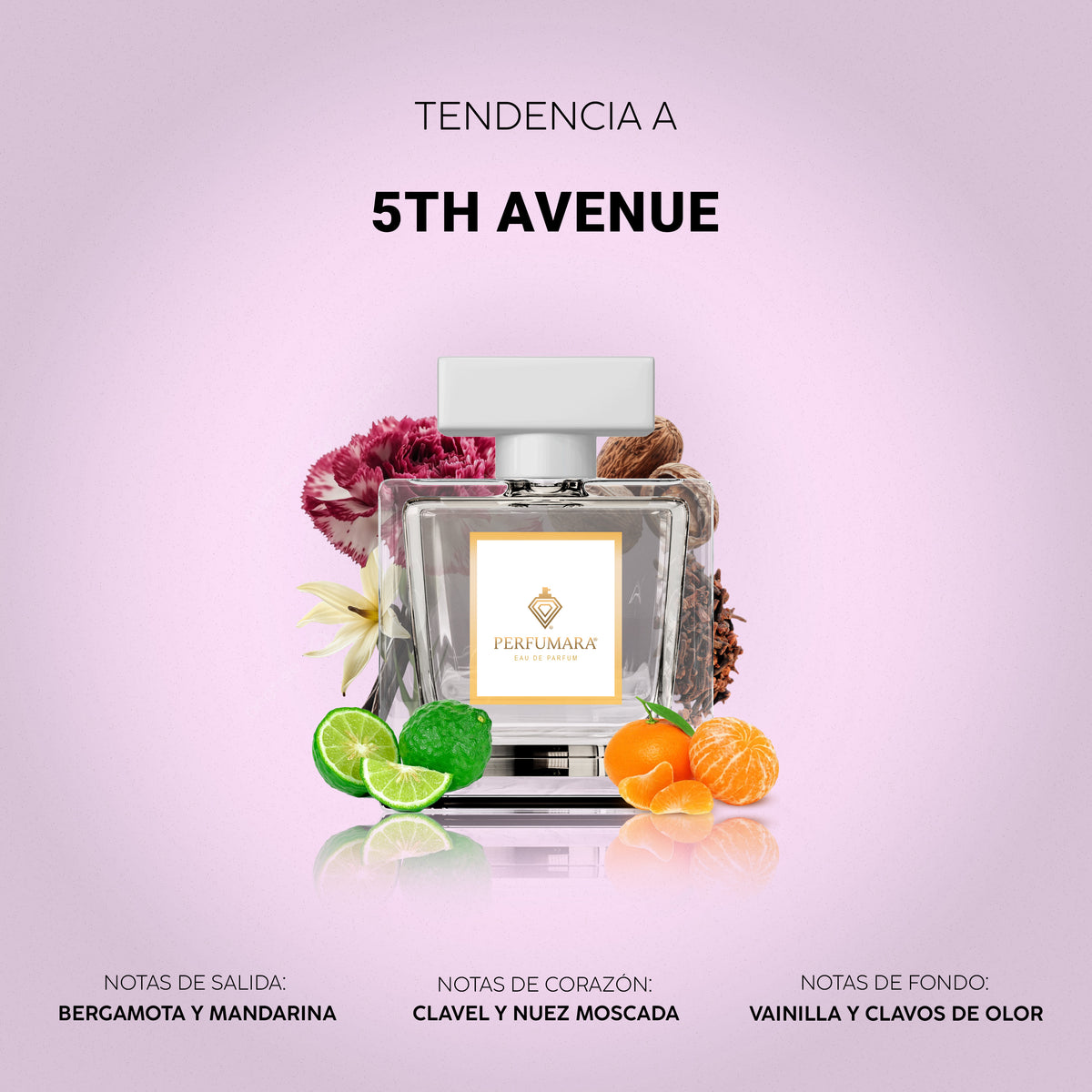 Tendencia a 5th Avenue