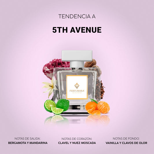 Tendencia a D5th Avenue