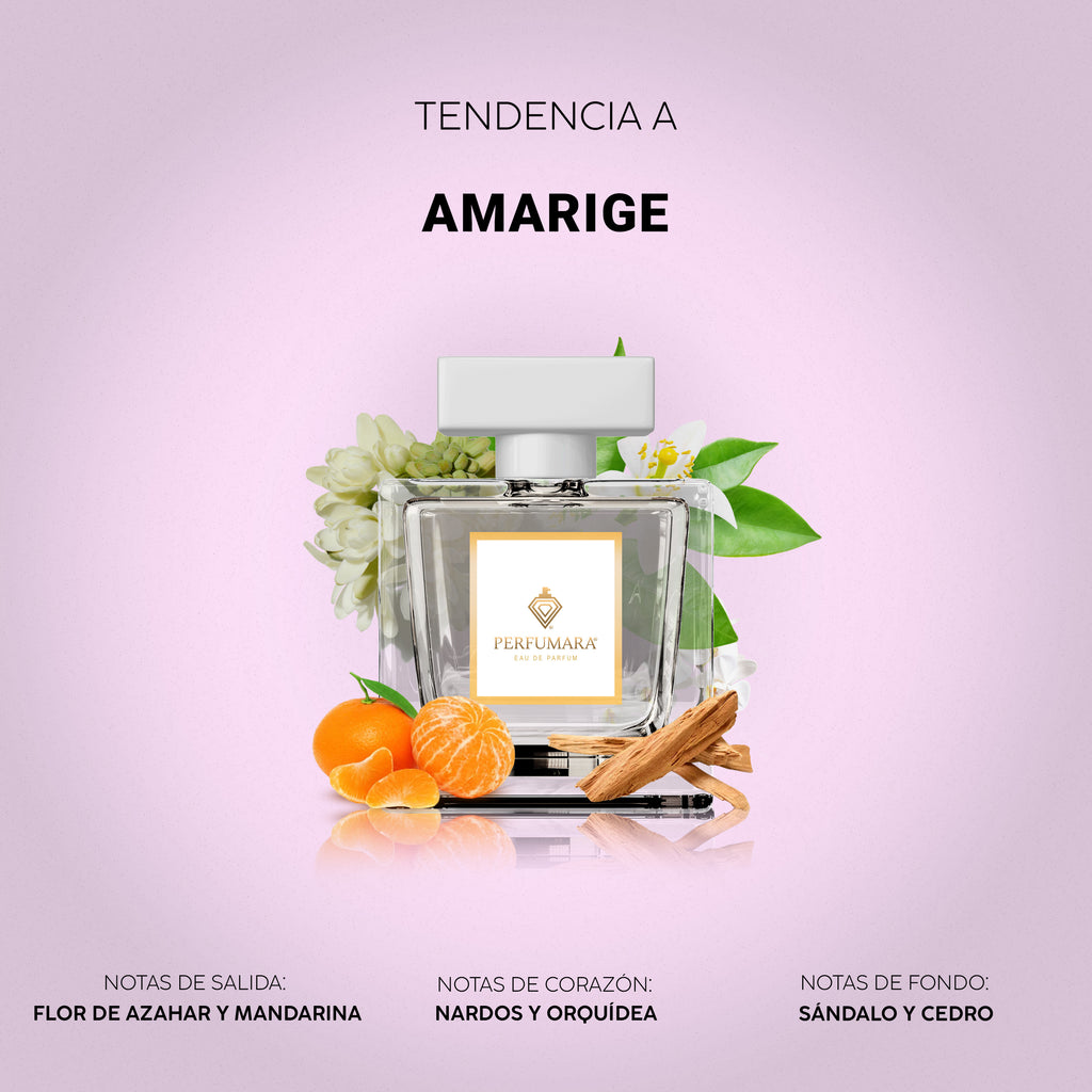 Tendencia a DAmarige