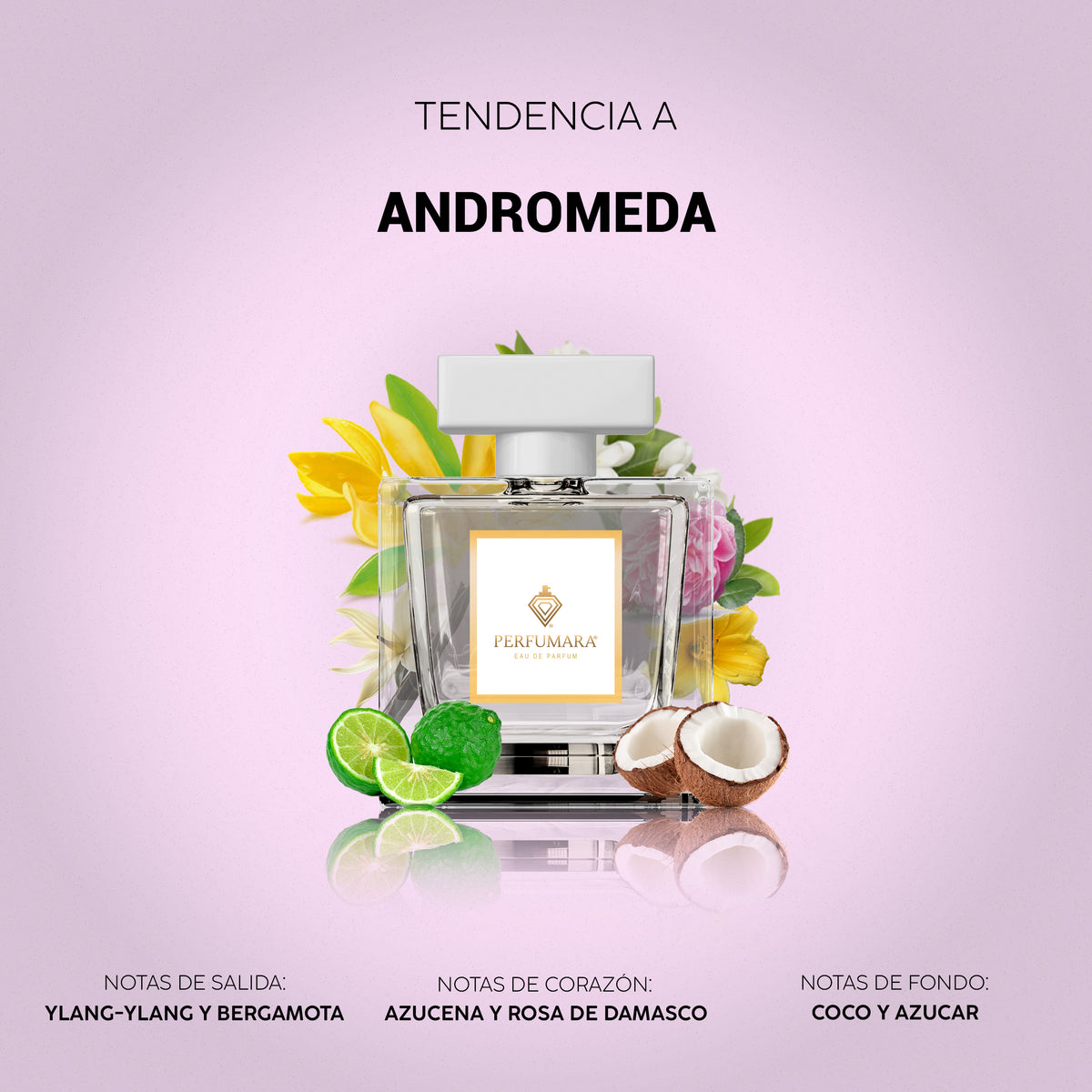 Tendencia a Andromeda