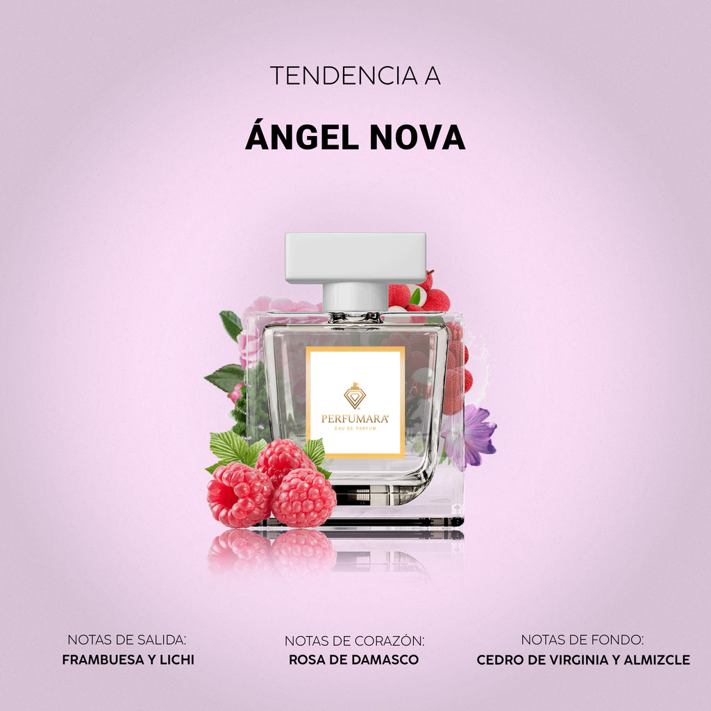 Tendencia a DAngel Nova