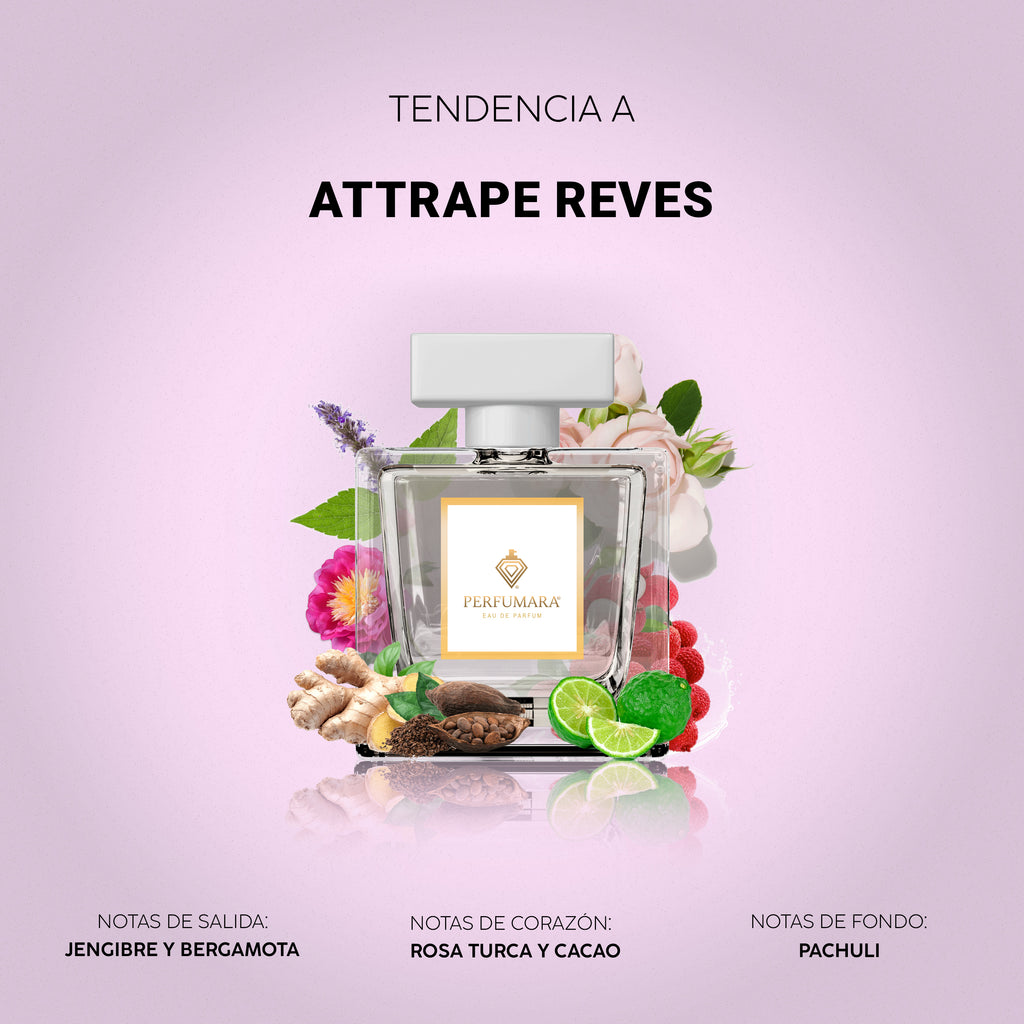 Tendencia a Attrape-Rêves