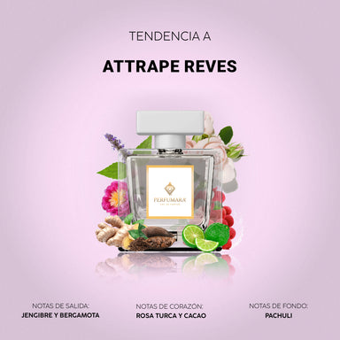 Tendencia a Attrape-Rêves