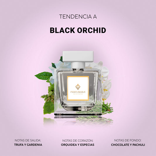 Tendencia a DBlack Orchid