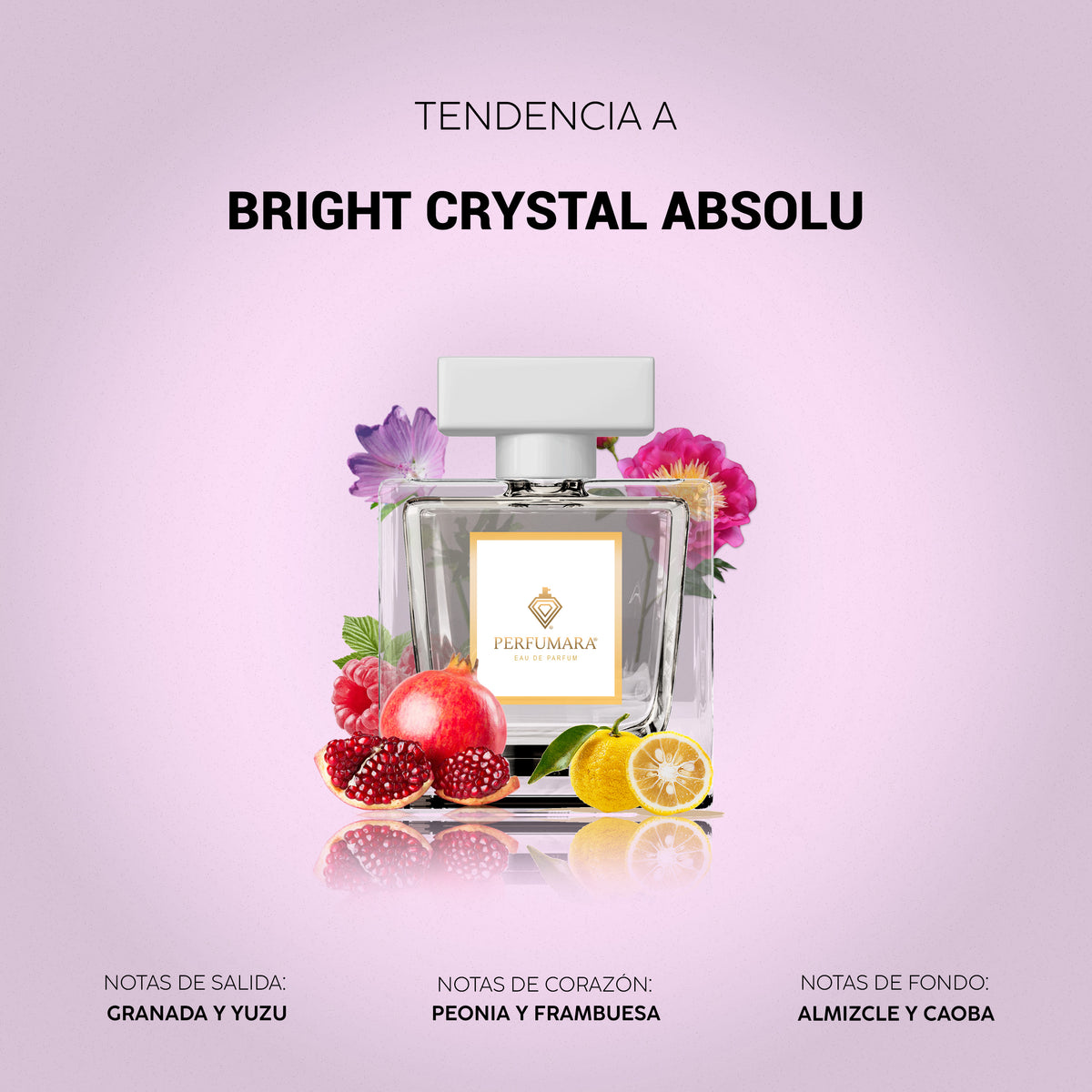 Tendencia a Bright Crystal Absolu