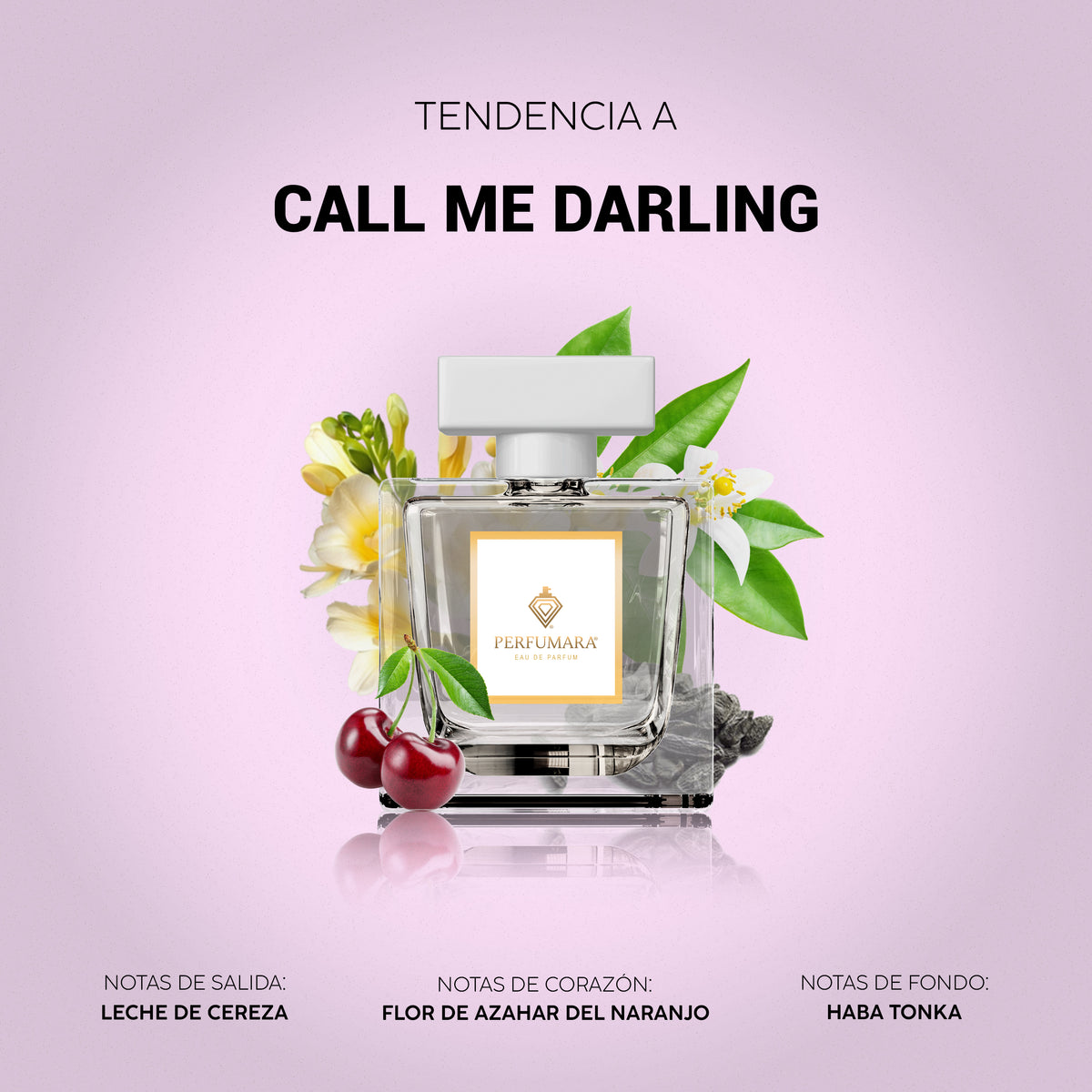 Tendencia a Call Me Darling